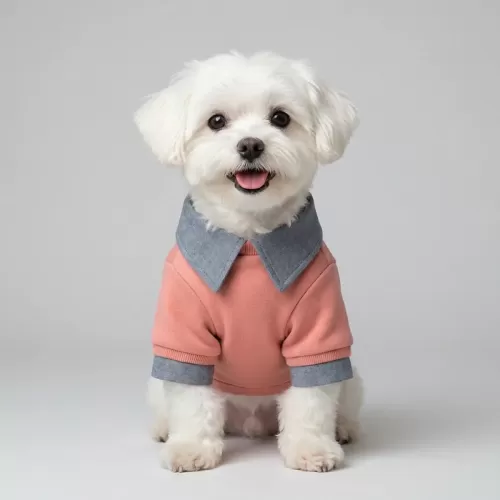 3D Glamorous Teddy Bear T-Shirt για Σκύλους