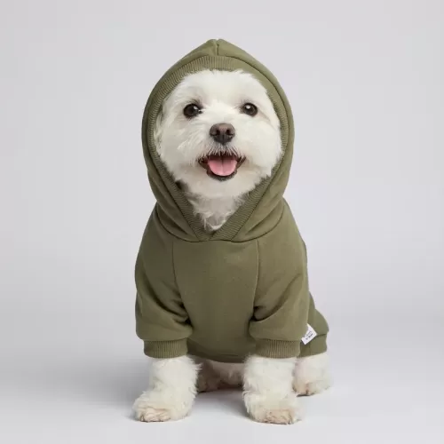 Urban Olive Green Hoodie για Σκύλους - Χακί Κουκούλα & Casual Sporty Style