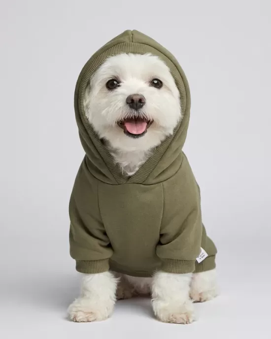 Urban Olive Green Hoodie για Σκύλους - Χακί Κουκούλα & Casual Sporty Style