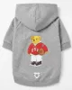 Basketball Player Teddy Bear Hoodie για Σκύλους - Γκρι Melange με USA Sporty Theme