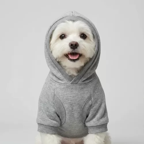 Basketball Player Teddy Bear Hoodie για Σκύλους - Γκρι Melange με USA Sporty Theme