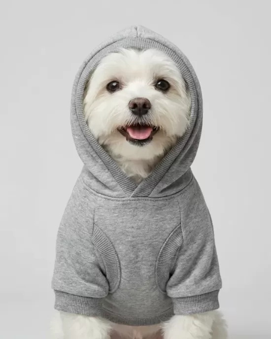 Basketball Player Teddy Bear Hoodie για Σκύλους - Γκρι Melange με USA Sporty Theme