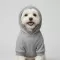 Basketball Player Teddy Bear Hoodie για Σκύλους - Γκρι Melange με USA Sporty Theme