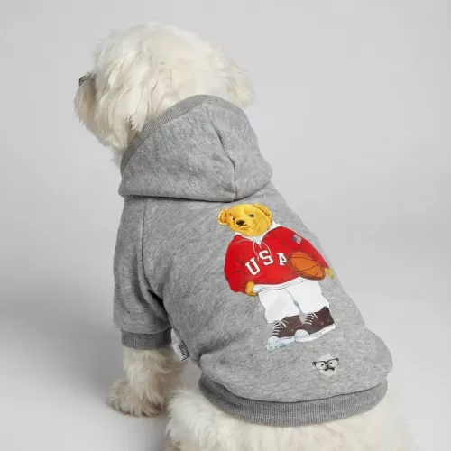 Basketball Player Teddy Bear Hoodie για Σκύλους - Γκρι Melange με USA Sporty Theme