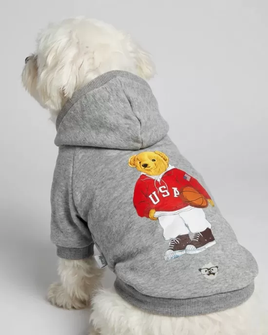 Basketball Player Teddy Bear Hoodie για Σκύλους - Γκρι Melange με USA Sporty Theme
