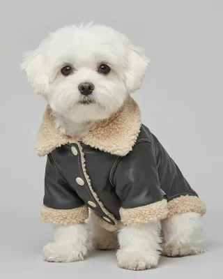 Δερμάτινο Μπουφάν Aviator με Γούνα Shearling – Μαύρο & Μπεζ (PET-007)
