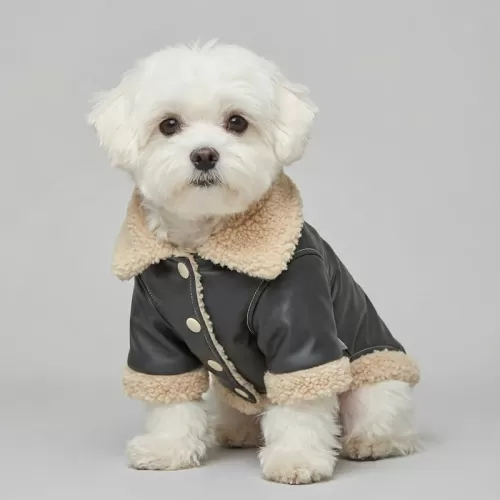Δερμάτινο Μπουφάν Aviator με Γούνα Shearling – Μαύρο & Μπεζ (PET-007)