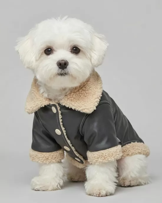 Δερμάτινο Μπουφάν Aviator με Γούνα Shearling – Μαύρο & Μπεζ (PET-007)