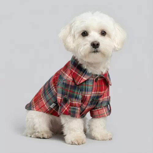 Καρό Πουκάμισο Tartan – Κόκκινο & Πράσινο (PET-003)