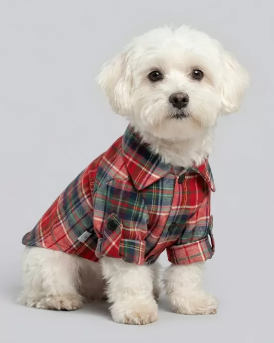 Καρό Πουκάμισο Tartan – Κόκκινο & Πράσινο (PET-003)